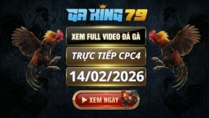 Xem Full Clip Da Ga Truc Tiep CPC4 Ngay 14022026 3