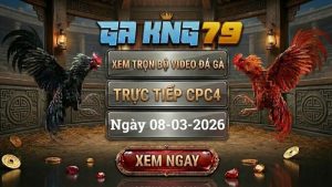 GAKING79 Xem Full Clip Da Ga Truc Tiep CPC4 Ngay 08032026 1