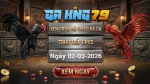 GAKING79 Xem Full Clip Da Ga Truc Tiep CPC5 Ngay 02032026 1