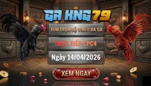 Video đá gà CPC4 ngày 14_04_2026