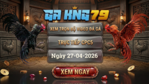 Xem Full Clip Đá Gà Trực Tiếp CPC5 Ngày 27/04/2026