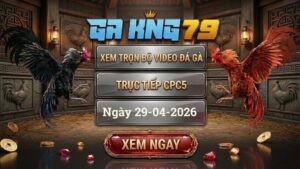 Xem Full Clip Đá Gà Trực Tiếp CPC5 Ngày 29/04/2026