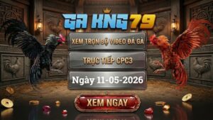 Xem Full Clip Đá Gà Bồ CPC3 Ngày 11/05/2026