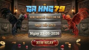 Xem Full Clip Đá Gà Trực Tiếp CPC3 Ngày 23/05/2026