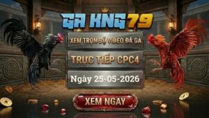 Xem Full Video Đá Gà CPC4 25/5/2026 Tại GAKING79