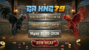 Xem Full Video Đá Gà CPC2 31/05/2026
