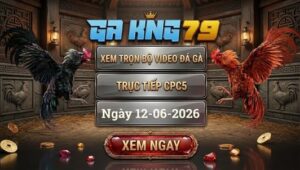 Xem Full Video Đá Gà CPC5 Ngày 12/06/2026 Tại GAKING79